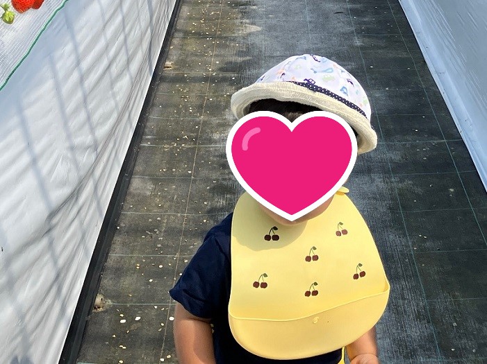 イチゴ狩り エプロン